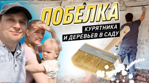 ПОБЕЛКА КУРЯТНИКА И ДЕРЕВЬЕВ В САДУ! Навожу порядок и красоту во дворе, работаю с известью и ПВА
