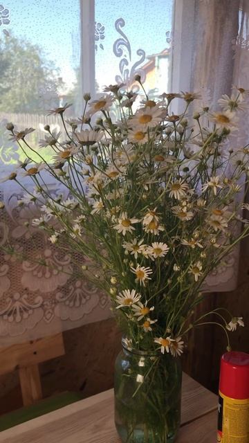 День рыбака. Живу в Коми. Подпишись. #обзор #лето