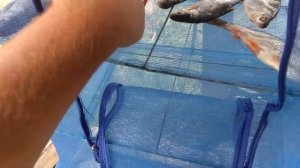 Сушилка для рыбы. Как уберечь вяленную рыбу от мух и ос.