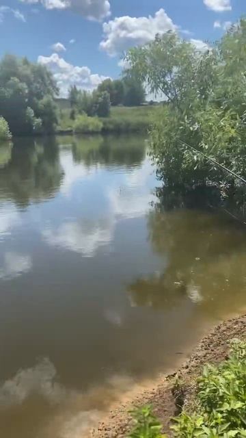 Любишь рыбалку ставь лайк 👍 #рыбалка #рыбак #топ #весн?