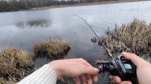Не до ОБЗОР!🛠️ Опыт эксплуатации катушки Histar Giu carbon 99.