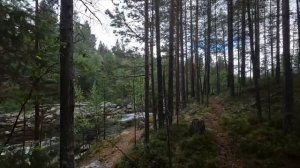 Кольский. Симбозеро 2024.