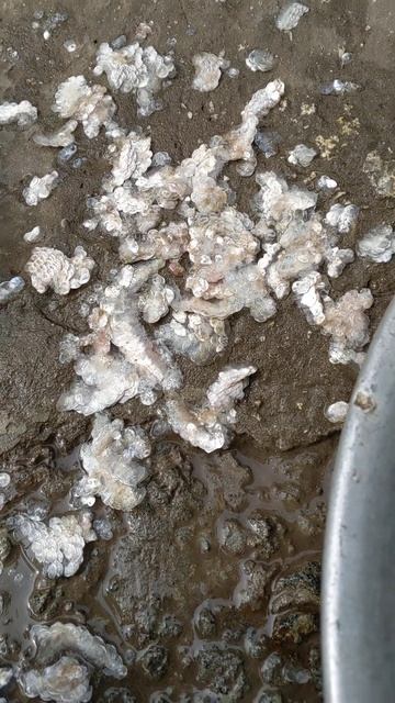 🤑❗❗❗ЗНАХІДКА 🐟карасева #stavo4ok #рибалканакарася #ри?