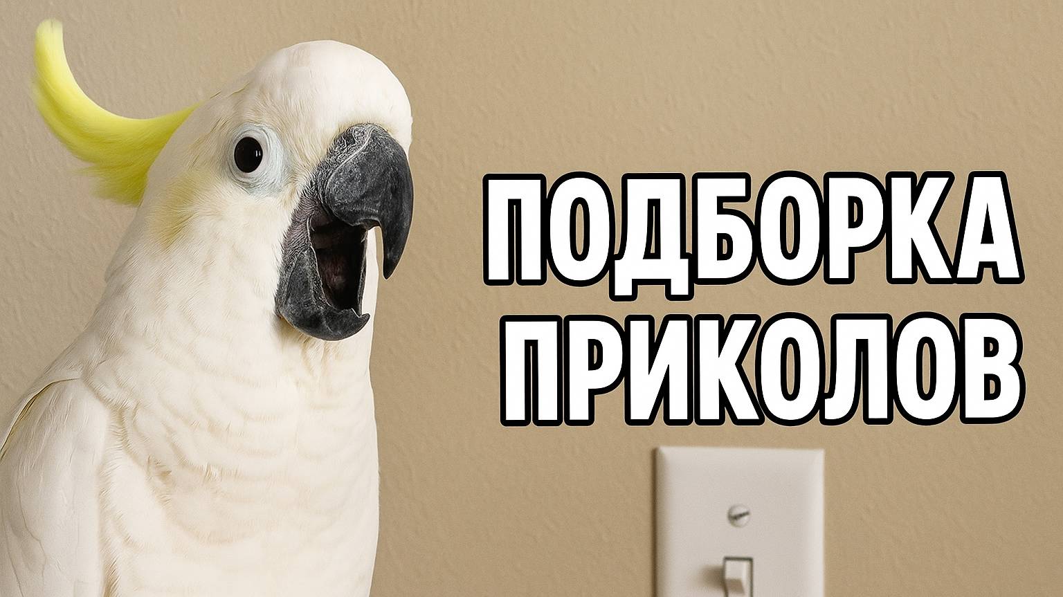 Смех до слёз: лучшие приколы №140 смотреть онлайн