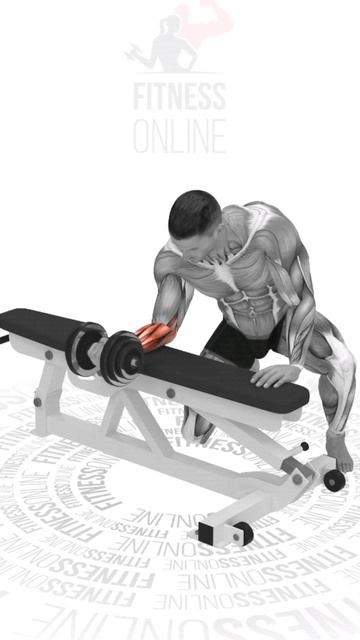 Сгибание запястий на скамье с гантелями/Bending the wrists on a b смотреть онлайн