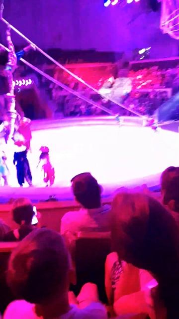 Цирк самарский