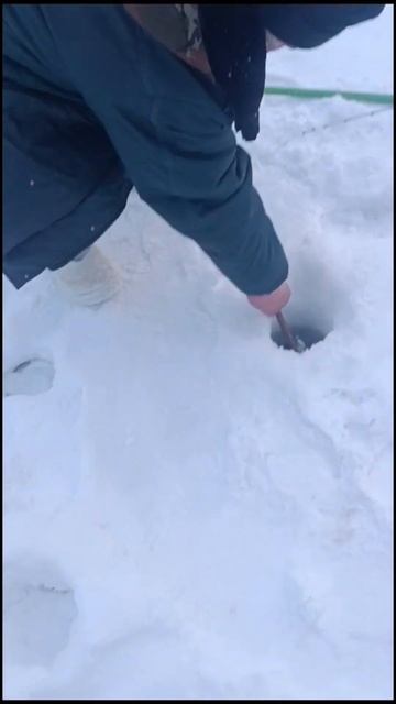 ЗИМНЯЯ РЫБАЛКА 2024! Хорошие уловы, КРУПНАЯ ФОРЕЛЬ! KING FISH смотреть онлайн