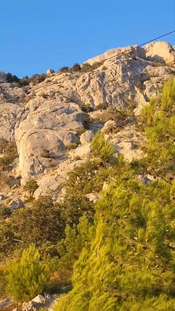 Потом может и не быть🙏 #цитаты #цитатымудрецов #мудро? смотреть онлайн