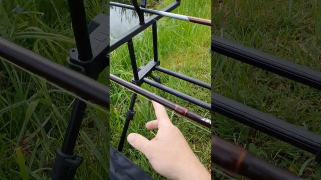 Какой Род Под выбрать.