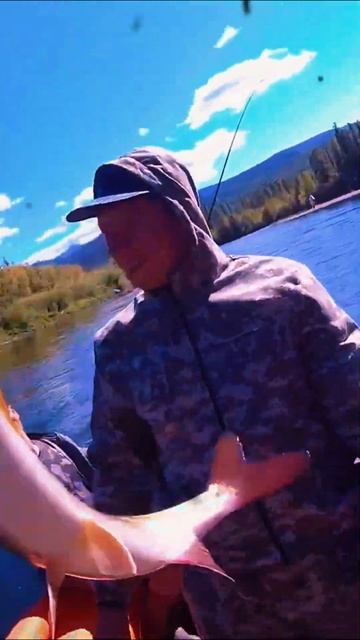 Лучшая блесна убийца ленка 2024. Трофейный ленок. #рыбал смотреть онлайн