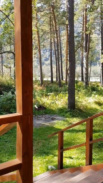 Чепош-парк смотреть онлайн