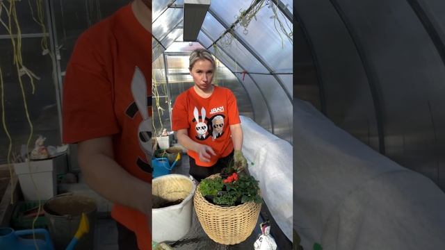 Цветочный микс - цветочная грядка своими руками #дача смотреть онлайн