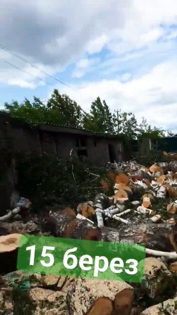 15 #берез за #15 часов ! #Молодцы ! смотреть онлайн