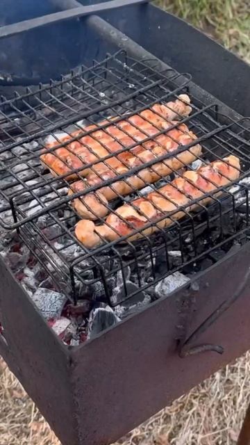 Выходные в тайге #север #nature #природа #wildlife #рыбалка #та? смотреть онлайн