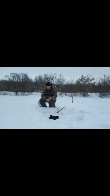 #shorts  И у нас скоро праздник рыбака.  #рыбалка#первыйлёд