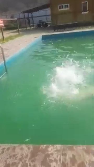 Термальный источник в Адыгеи смотреть онлайн