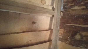 баня из горбыля