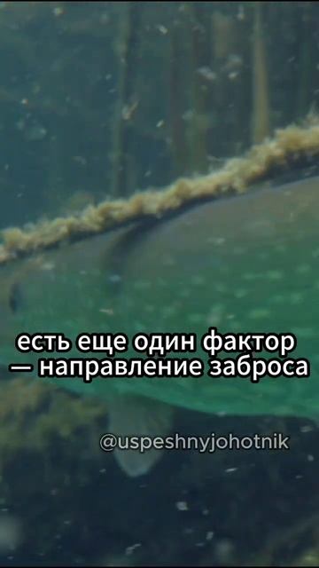Делая эти вещи, вы не поймаете щуку! Узнайте почему. #ры