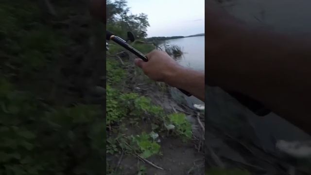 ПОКЛËВКА ЖЕРЕХА НА ВОЛКЕР. Рыбалка на Дону. смотреть онлайн