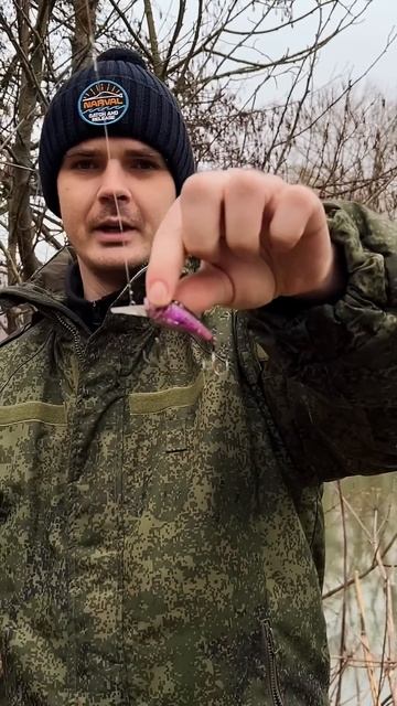 ГОЛАВЛЬ НА СПИННИНГ В ФЕВРАЛЕ #рыбалка #shortvideo #shorts #short