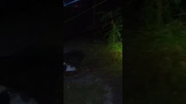 ИМЕННАЯ СНАСТЬ #рекомендации #как #лучшая #рыбалка #саз смотреть онлайн