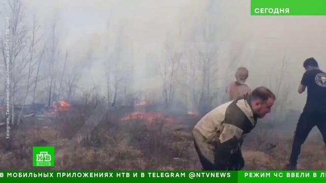 НТВ # Сегодня, Москва, 13 мая 2025
Огненный май смотреть онлайн