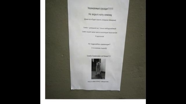 Домашний Кот Семён  Уважаемые Соседи Не Верьте Ему!!!