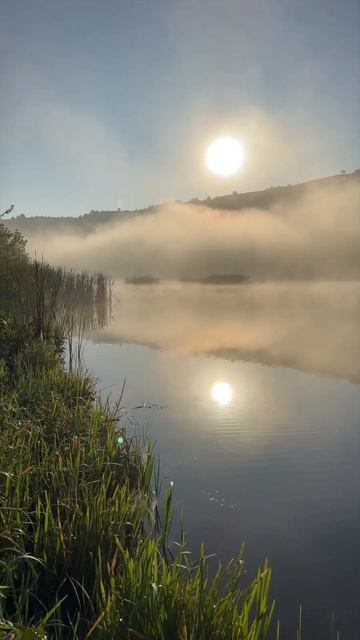 Осенняя рыбалка рано утром #fishing #осень #morning #asmr смотреть онлайн