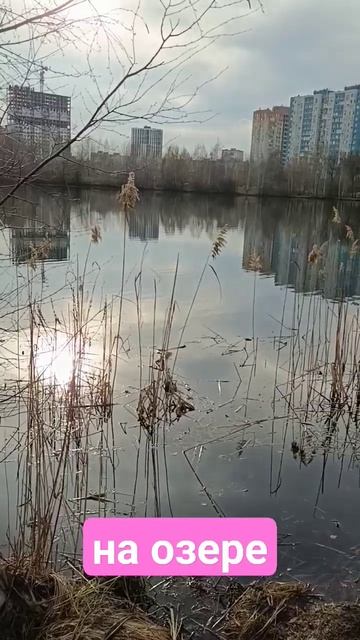 За красивые глаза