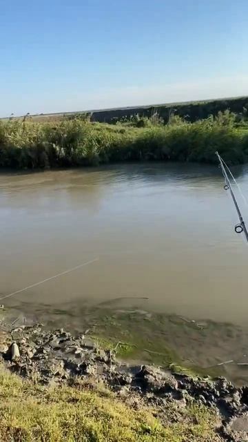 Ловись рыбка 🐟 большая ) #рыбалка #дагестан #держинка # смотреть онлайн