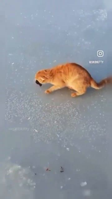 Рыбалка на Байкале😂 смотреть онлайн