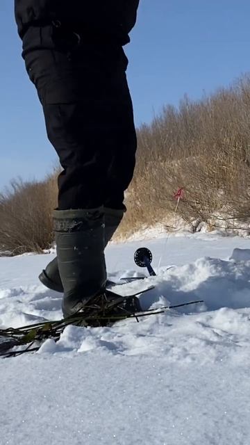 #речка #тургай #рыбалка #щуканажерлицы смотреть онлайн