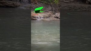 Супер поплавок 2025. ПРОНЫРА Поплавок Высоцкого. #корабл