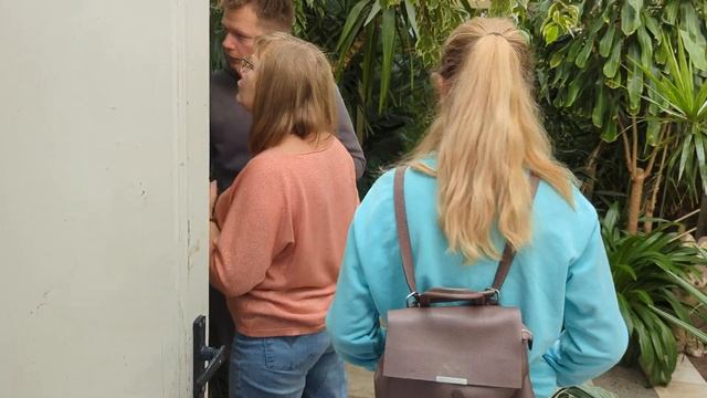 ставропольский ботанический сад смотреть онлайн