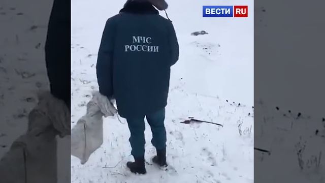 В мороз и зной, идем мы с косой смотреть онлайн