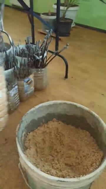 Ошибка при укоренении чубуков винограда на опилках - н смотреть онлайн