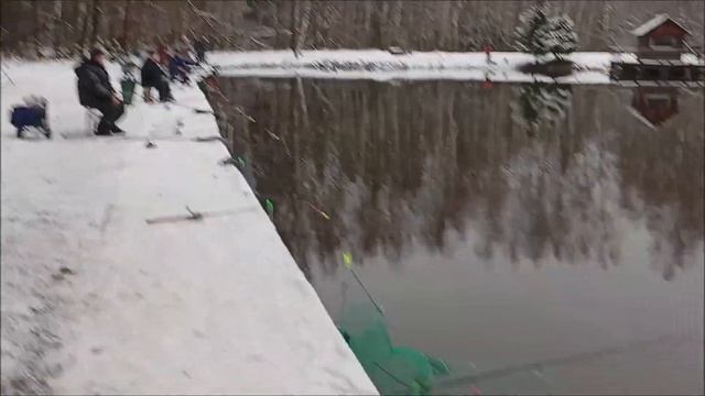 На что ловят форель? Спиннинг, донка, бомбарда. Рыбалка