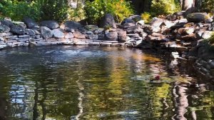 Уютный прудик | каменный берег пруда