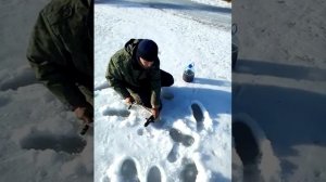 КАК СНЯТЬ ЩУКУ С ЖЕРЛИЦЫ №5