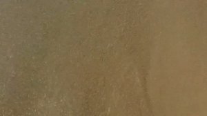 Хайнань| Отель "Южный Китай"| Дадунхай