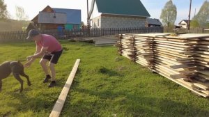 Жизнь в деревне день 11, нашли деревянного жирафа