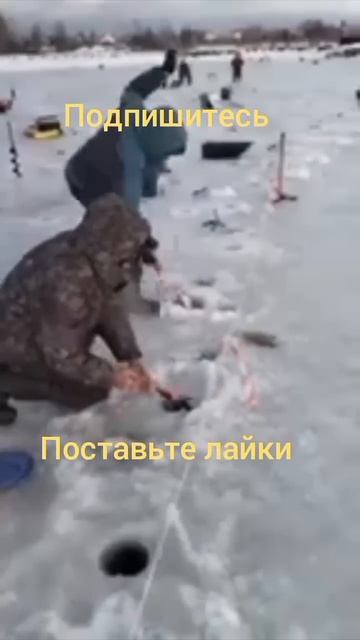 22 декабря 2024 г.