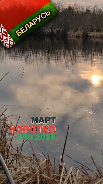 Беларусь 2025 смотреть онлайн