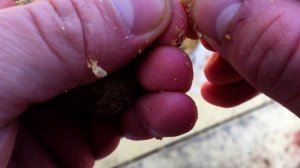 РИБАЛКА ЛОВЛЯ ПІДЛЯЩИКА снасть УБИЙЦА КАРАСЯ.РИБАЛКА