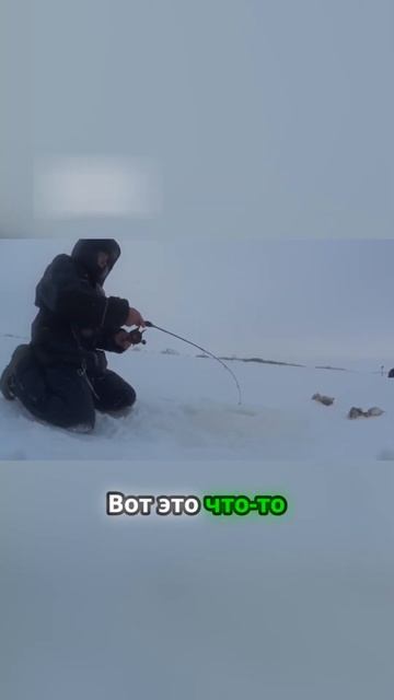 Секреты ловли щуки что нужно знать! #рыбалка смотреть онлайн