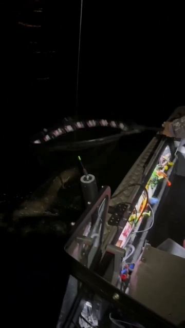 Гайдинг в Воронеже #РыбалкаСГидомВоронеж #Воронежско? смотреть онлайн