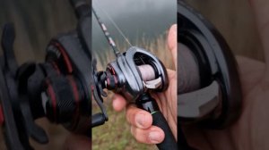 PURELURE ZANA - отличный гостевой вариант 👍 /рзбор в один пр?