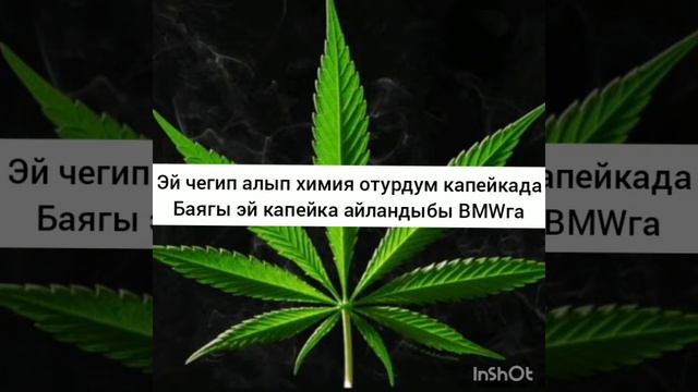 Боконбай жолунда караоке текст менен 😈👊 смотреть онлайн