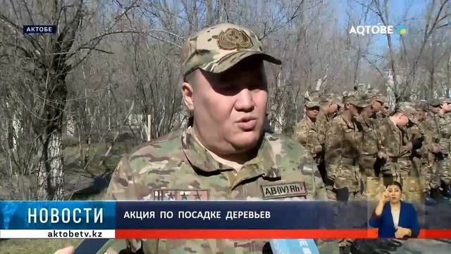 Акция по посадке деревьев смотреть онлайн