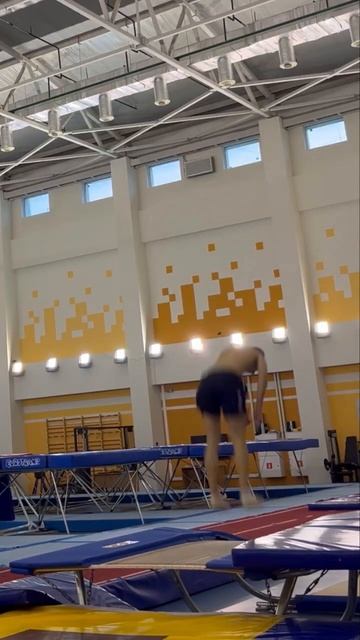 #flip #trampoline #acrobatics #sport #батут #прыжкинабатуте #тренировк?